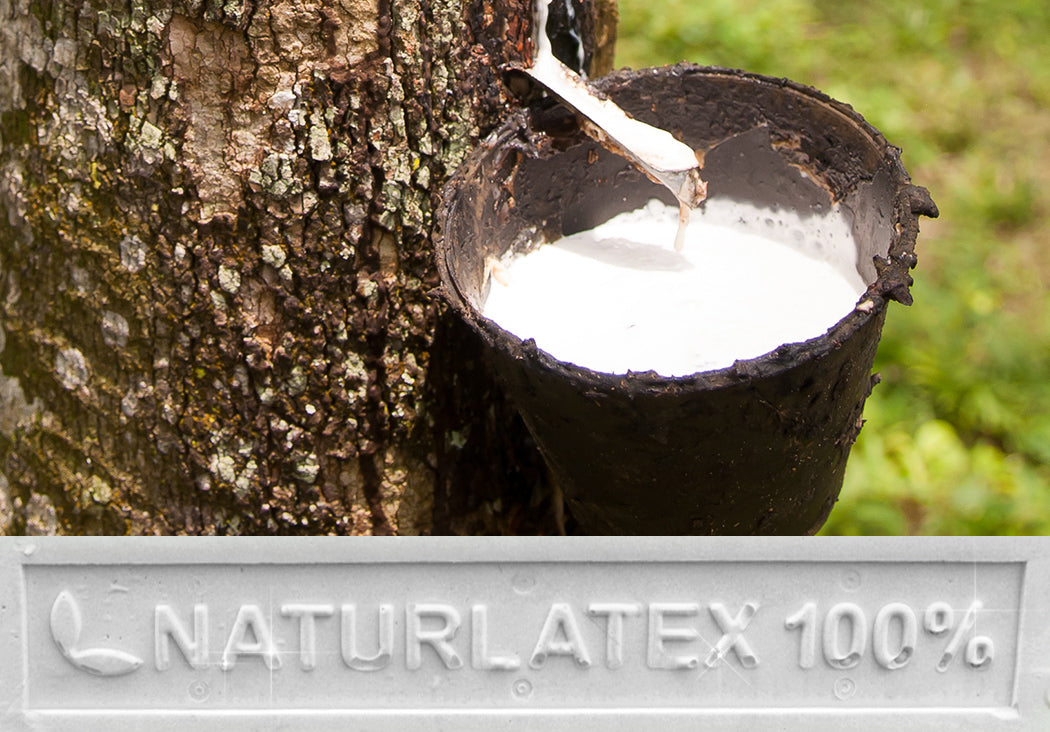 Guida all'acquisto: come scegliere il materasso in lattice naturale perfetto