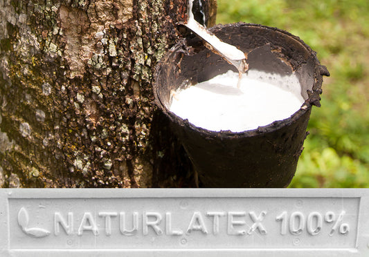 Guida all'acquisto: come scegliere il materasso in lattice naturale perfetto