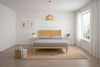 Testata Soft Ocra - ambientato